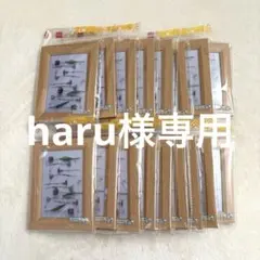 ダイソーフォトフレーム⭐︎まとめ売り１７個