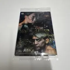 RIZINウエハース　NO.34 シークレット2