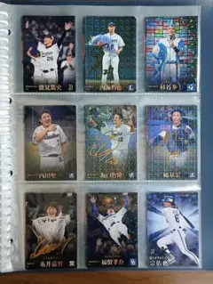 プロ野球チップス 2023 第一段 コンプリートセット