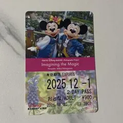 ディズニーリゾートライン フリーきっぷ Imagining the magic