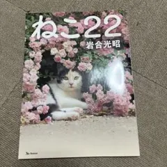 兎丸愛美×笠井爾示 写真集 羊水にみる光 - メルカリ