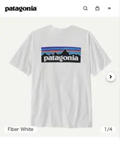 Patagonia P-6 ロゴ Tシャツ ホワイト XSのサムネイル