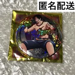 ONEPIECE ワンピース エース 輩缶バッジ 第21弾 SHINE