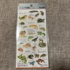 ☆みかん✩様 リクエスト 3点 まとめ商品