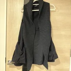 Esensation ベスト　エイココンドウ エターナリーブレイズ