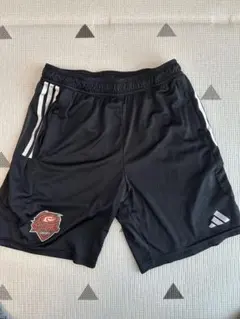 レッドハリケーンズ