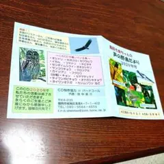 Item thumbnail for item c910c2b5-f7e2-4417-a511-e78f3c9dec35