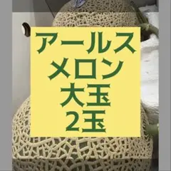 贈答用　ご褒美用　自家用　九州産アールスメロン　2玉のサムネイル