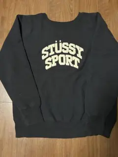 STUSSY × Champion コラボ リバースウィーブ ロゴスウェット/L Stussy × Champion ステューシー チャンピオン コラボスウェット