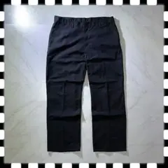 Dickies ディッキーズ ワークパンツ ダブルニー ペインター ブラック