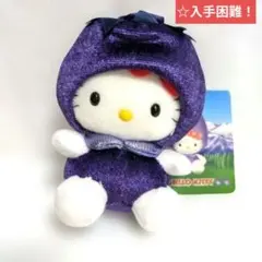 ご当地キティ　マスコット那須限定　那須キティタグ付き 平成レトロ激レアぬいぐるみ
