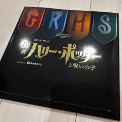 舞台 ハリーポッターと呪いの子 9と3/4番線シート パンフレット 稲垣吾郎
