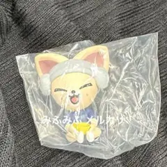 SKZOO サウナフィギュア　ガチャ　フォクシニー　アイエン