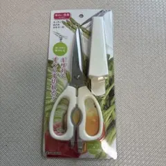 Item thumbnail for item 1fd22b05-d26d-4168-82fb-8c83ff1ca37a