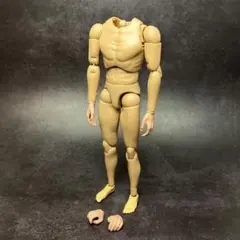 1/6 男性素体
