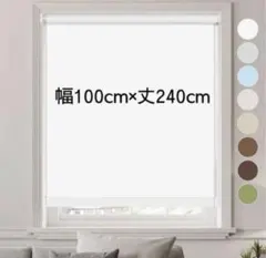 KIGHSIN ロールスクリーン 幅100cm×丈240cm 1級遮光 ホワイト