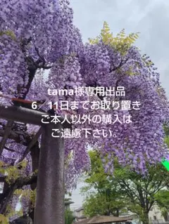 tama様専用出品