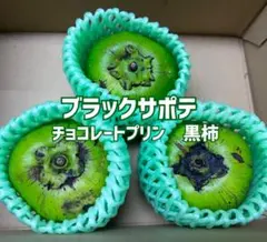 2026年最新】ブラックサポテの人気アイテム - メルカリ