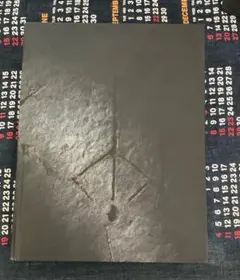 『石川九楊作品集 しかし』石川九楊　思文閣出版 石川九楊作品集 しかし』石川九楊 思文閣出版 - メルカリ