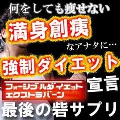 夏999セール❗✨早稲田総合研究所 ダイエットサプリ ダブルバスター等にものサムネイル