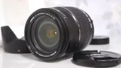 Item thumbnail for item 33589762-3da8-4e54-bc70-aa4467607f99