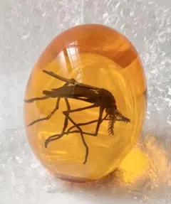 Item thumbnail for item e68868c5-e31d-4c93-ade3-8433c6c94a37