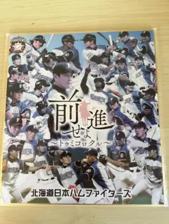 北海道日本ハムファイターズ 2014年開幕記念色紙