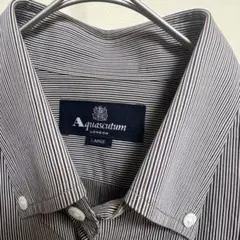 Aquascutumアクアスキュータム ストライプシャツ　Lサイズ