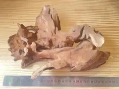 Item thumbnail for item d17a79aa-4955-480b-af99-732a68b85114