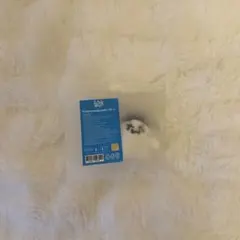 TWS PLUSH KEYRING GHOST ぬいぐるみ
