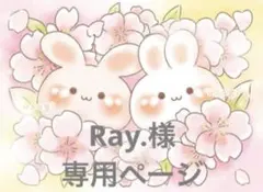 専用ページです⋈*.。