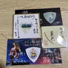 2026年最新】ゆず ピックの人気アイテム - メルカリ