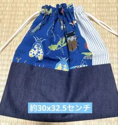 昆虫柄　体操服袋・お着替え袋　巾着　ハンドメイド　男の子