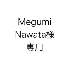 【Megumi Nawata様専用】ディズニーキャラクターデスクトップフィギュア