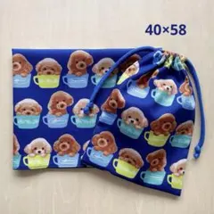 Item thumbnail for item d1634d40-66a8-410c-807c-497433776900