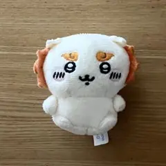 [匿名発送]ちいかわ シーサー おすわりぬいぐるみ