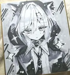 に*˚様 オリジナル手描きイラスト 色紙