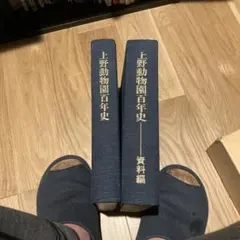 Item thumbnail for item b02eb6b3-f32b-4d2d-a3dc-f31fe0155e23