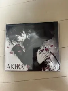 2026年最新】ヴァンパイア騎士 CDの人気アイテム - メルカリ