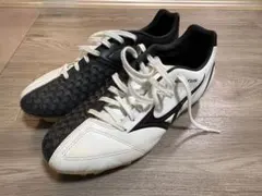 Item thumbnail for item abf30702-50ae-4f7b-851a-3c144974bfb3