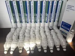 Item thumbnail for item f5d74338-47af-4275-a26a-39c8fa7859a2