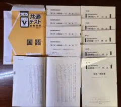 共通テスト Vパック 2025 国語 駿台