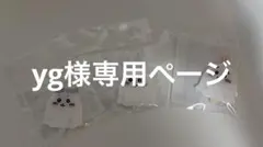 専用ページ