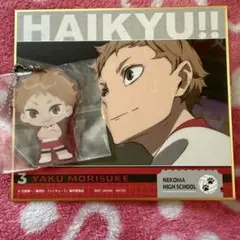 一番くじ 劇場版ハイキュー!! ゴミ捨て場の決戦２ 夜久衛輔 セット