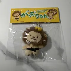 武知海青メンプロ　がおちゃん