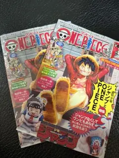 新品未開封 ワンピースマガジン第20号 ルフィプロモ付 2冊