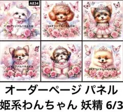 オーダーページ パネル 姫系わんちゃん 妖精 6/3