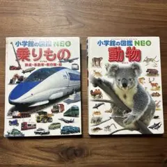 Item thumbnail for item aa597b96-6e0c-4992-a6e5-e6d59f83210c