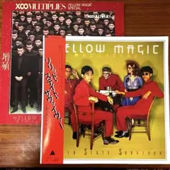 LP 10 YMO イエローマジックオーケストラ 2枚セット