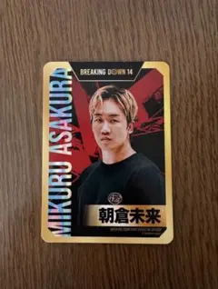 2026年最新】ブレイキングダウン カードの人気アイテム - メルカリ